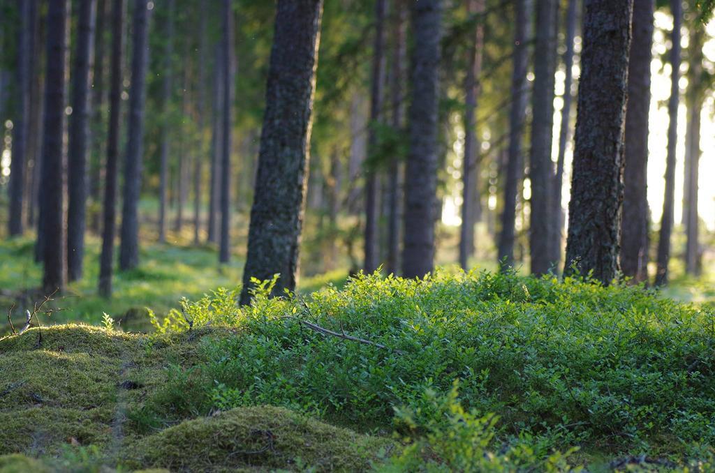 Asa Herrgard Buitenkant foto